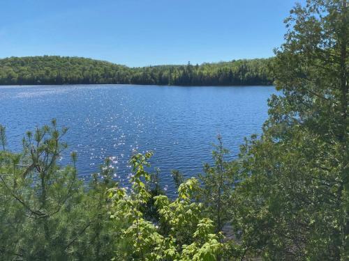 Le Petit Chalet Sur Le Lac