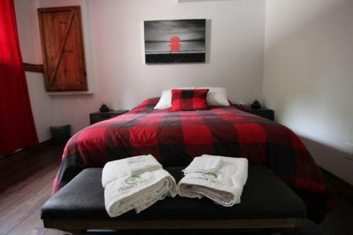 Highland Spa Billard Bord De L Eau