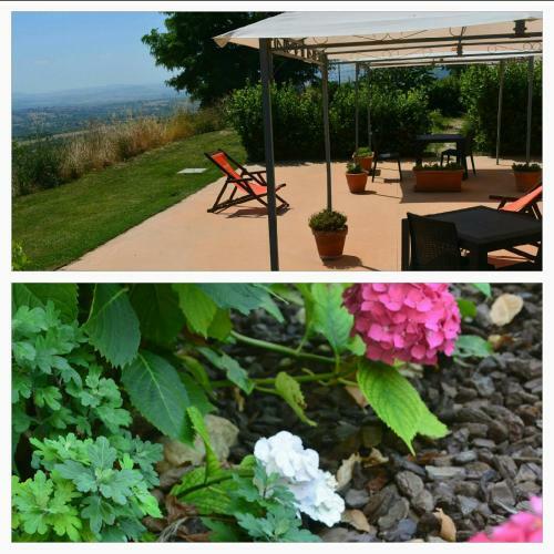 Bed & Breakfast Villa Polercia