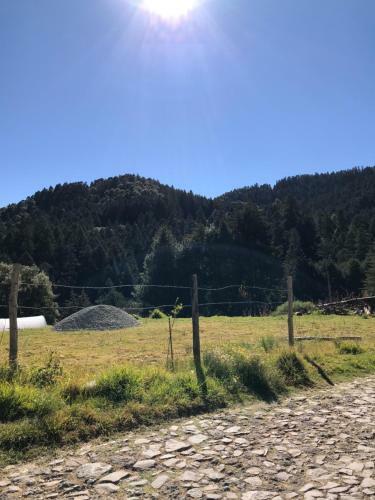 Casa Del Bosque_tendaro