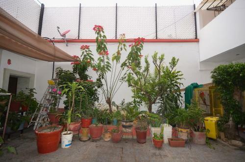 Apartamento Casa Catalina