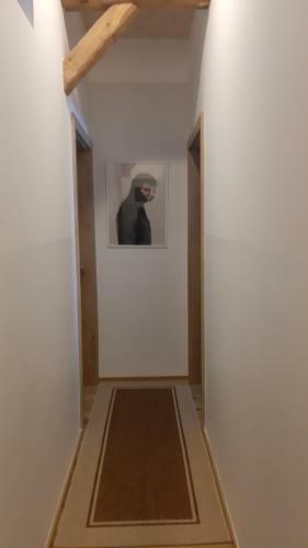 Apartamento Ferienhaus Gerlach