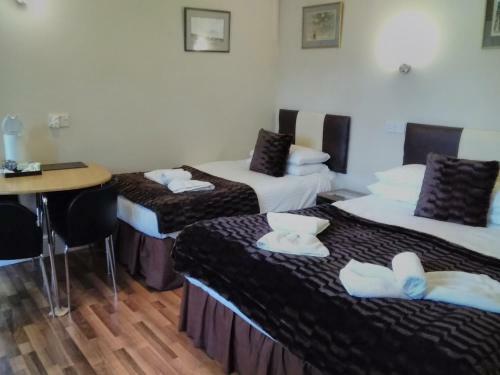 Hostal Windermere Studio Rooms