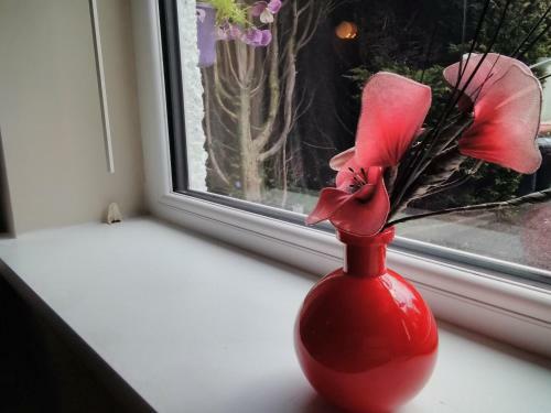 Hostal Windermere Studio Rooms
