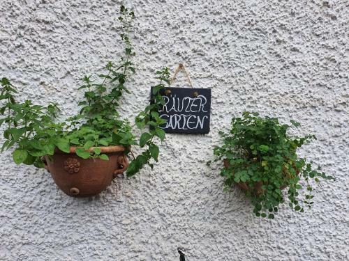 Apartamentos Ferienwohnung Tiroler Auszeit