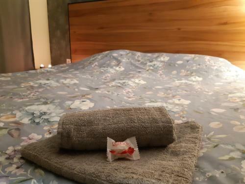 Carpe Diem Luxury Downtown Apartment