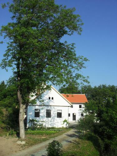 Alte M�hle Kaisersdorf