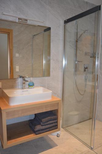Apartamento Wildkogel