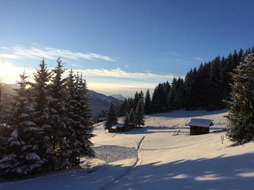 Chalet Julia