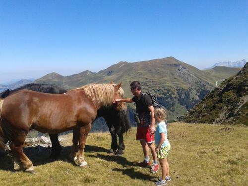 Agroturismo Biohof Vorderreith