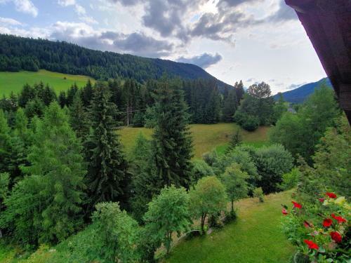 Haus Enzian Apartments