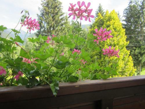 Apartmenthaus Kestel