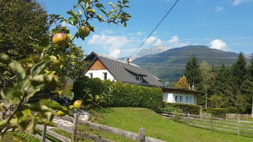 Apartmenthaus Kestel