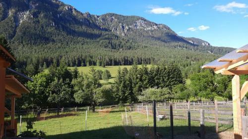 Apartamento Naturidyll Brunner