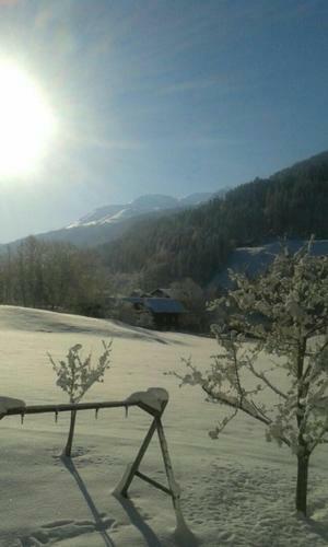 Apartamento Hof Kurzamann