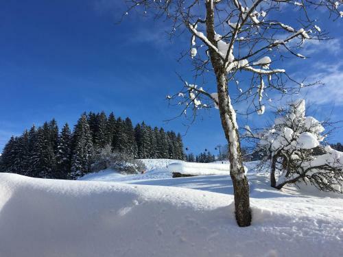 Apartamento Beim Rohrer