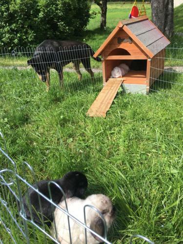 Apartamento Beim Rohrer