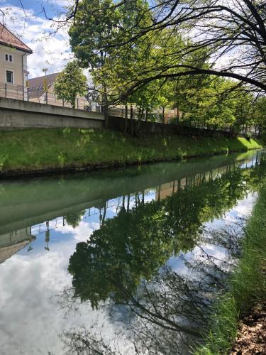 Apartamento Hafen Dock 5