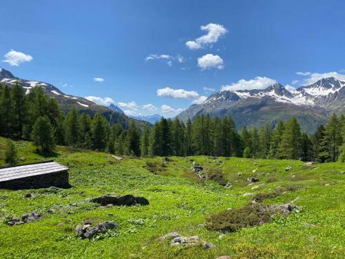 Apartamento Augl?s Hof