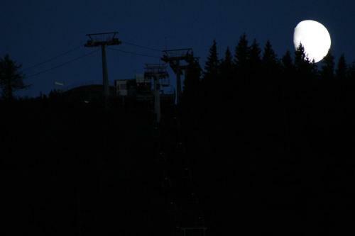 Scheibenwald Alm