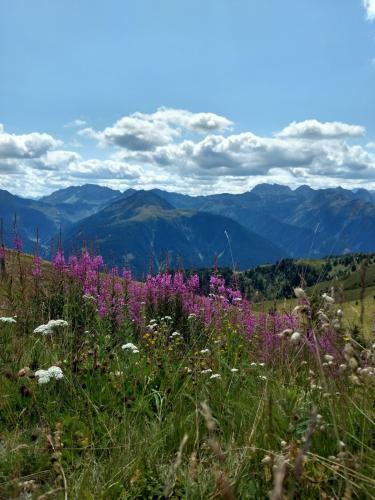 Apartamento Gailtal Panorama