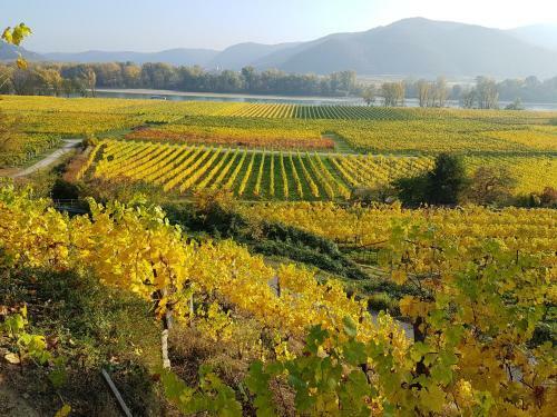 Apartamento Blick �ber Krems Mit Terrasse