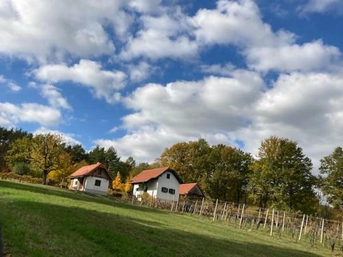 Kellerst�ckl Postrumer Weinberg 48