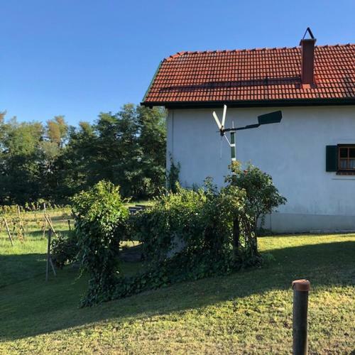 Kellerst�ckl Postrumer Weinberg 49