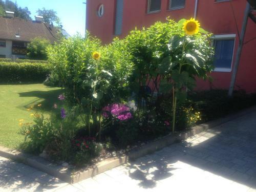 Apartamento Sunny And Lake