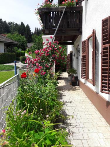 Apartamento Villa Nusswald