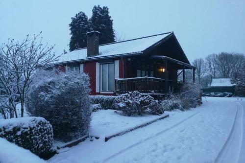Scandinavi� Vlak Bij Huis