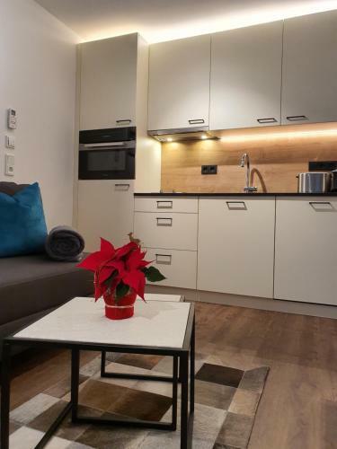 Apartment Leontina