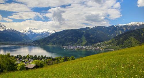 Apartamento Appartement Schwarzenbacher