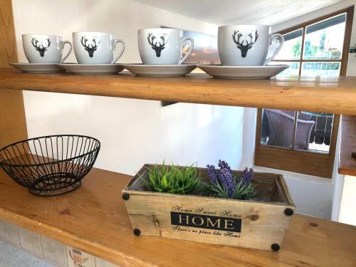 Apartamento Belle Kitz