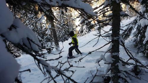 Apartamento Residence Alba Montis