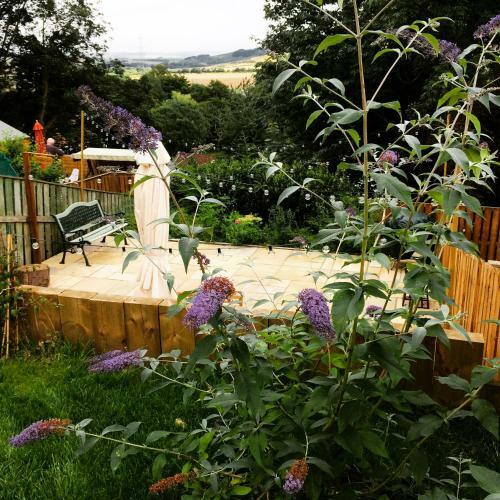 Birchwood Cottage - A Wonderful Dingley Dell