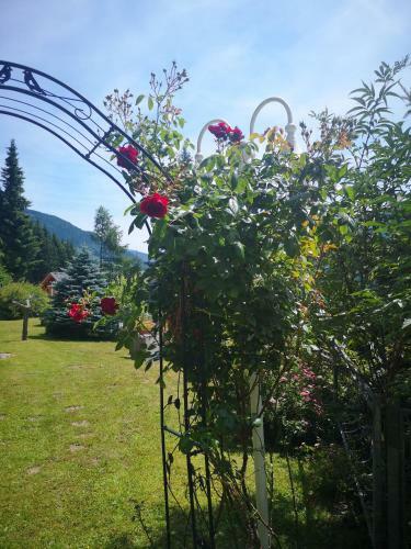 Apartamento Appartement Felix