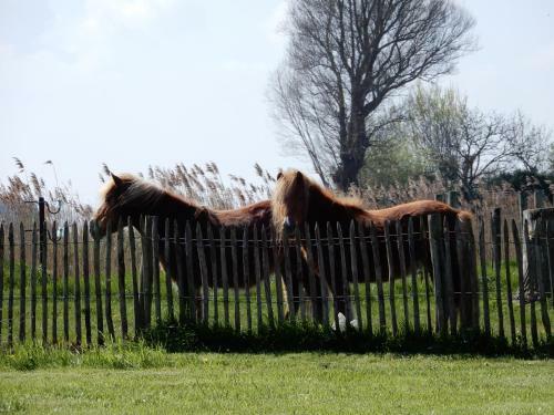 Holiday Home Cuylehoeve