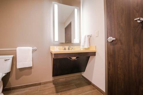 Hotel Comfort Inn & Suites Downtown New Orleans