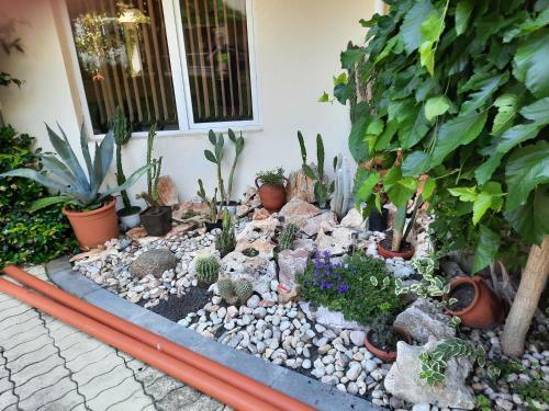 Beutiful Ground Floor Apartment Close To Beach