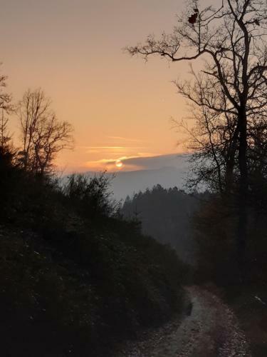 Bed & Breakfast Vall�e de L'ourthe