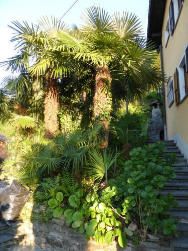 Apartamento Casa Petra 1 1/2 Zi, Orgnana 83