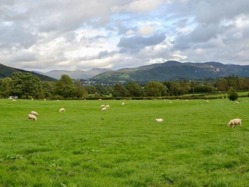 Derwent - Uk1406