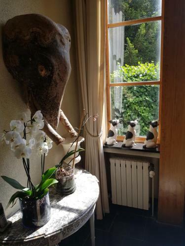 Bed & Breakfast Le Bocage Fleuri
