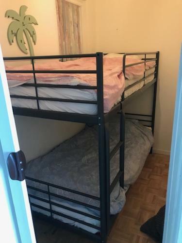 Apartamento Anaconda