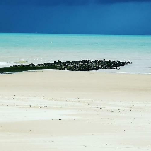 Apartamento Fleuri Westende