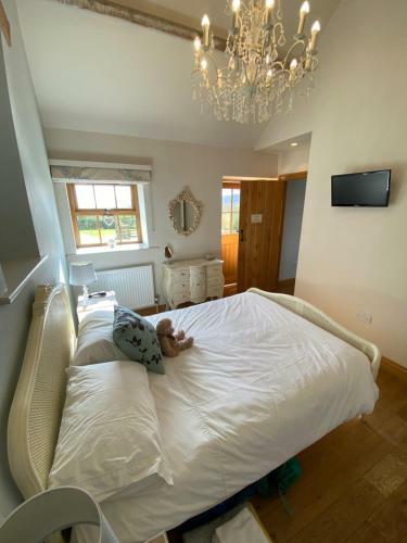 Apple Farm Holiday Cottages