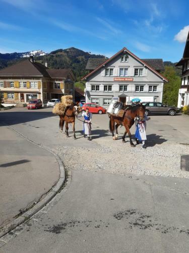 Hotel Gasthaus Gemsli