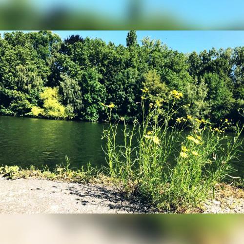 Chambre Priv�e � 30m Du Bord de Meuse
