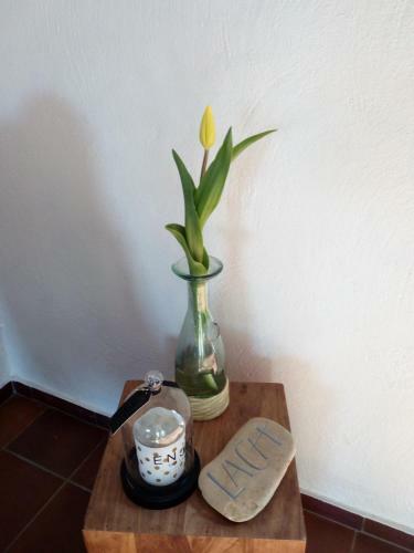 Apartamento Letteratelier Driesprong